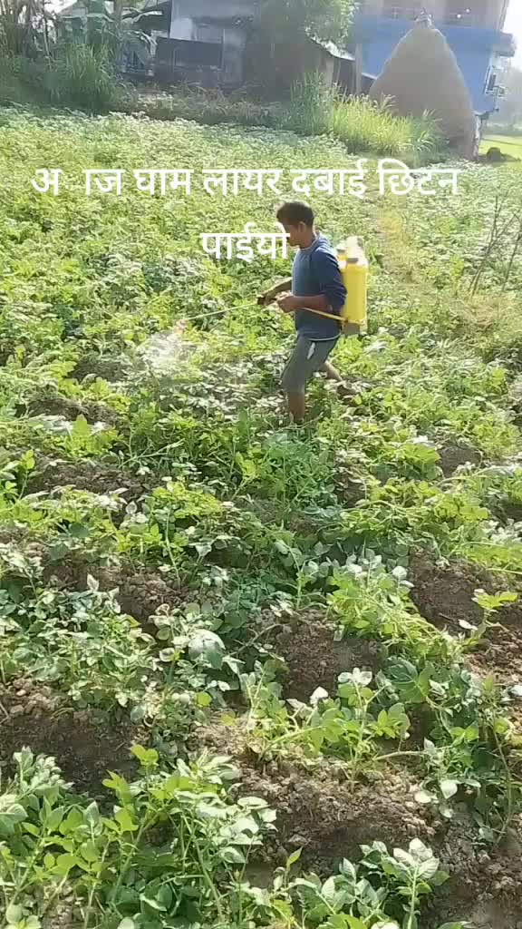 @देबु पोख्रेल 😘🌺❤️