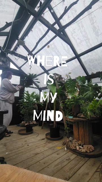 @plantymama🍄🪴💚