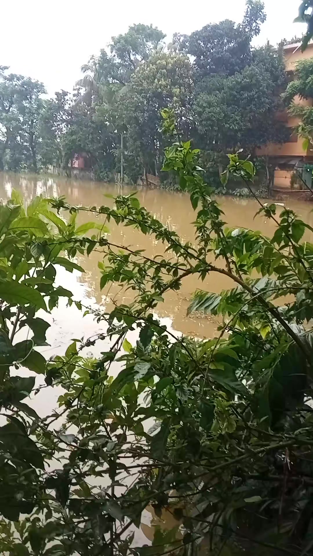 @Rahul Karmakar