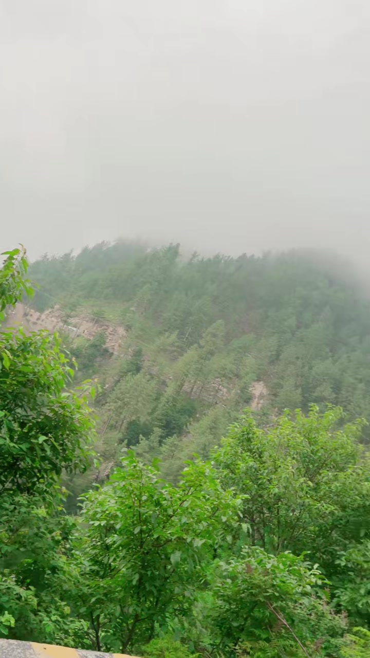 @میراعشق قلندر🚩♥️🚩