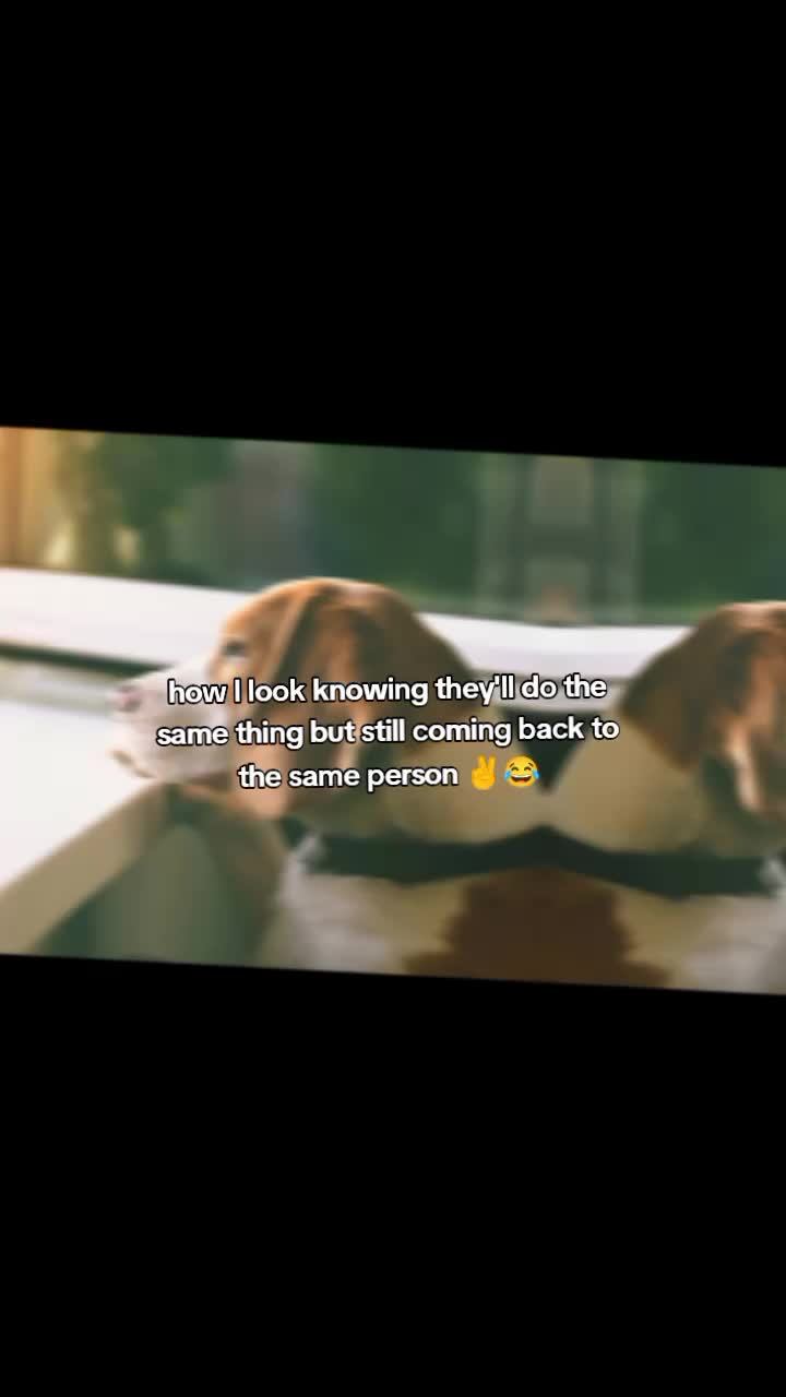 @๐๐๐๐ ๊จ๏ธ