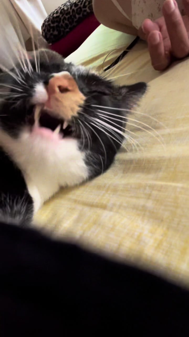 @Picha la micha