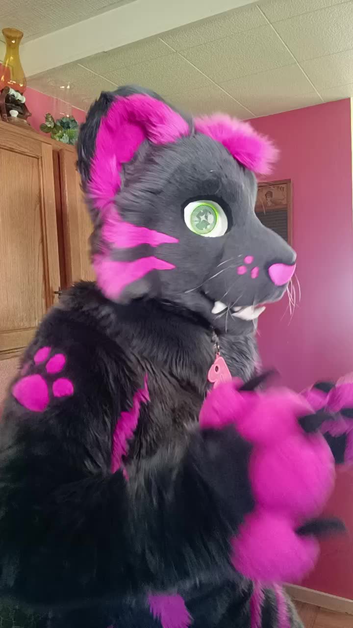 @dingbat 🐾 mew,mew 🐾
