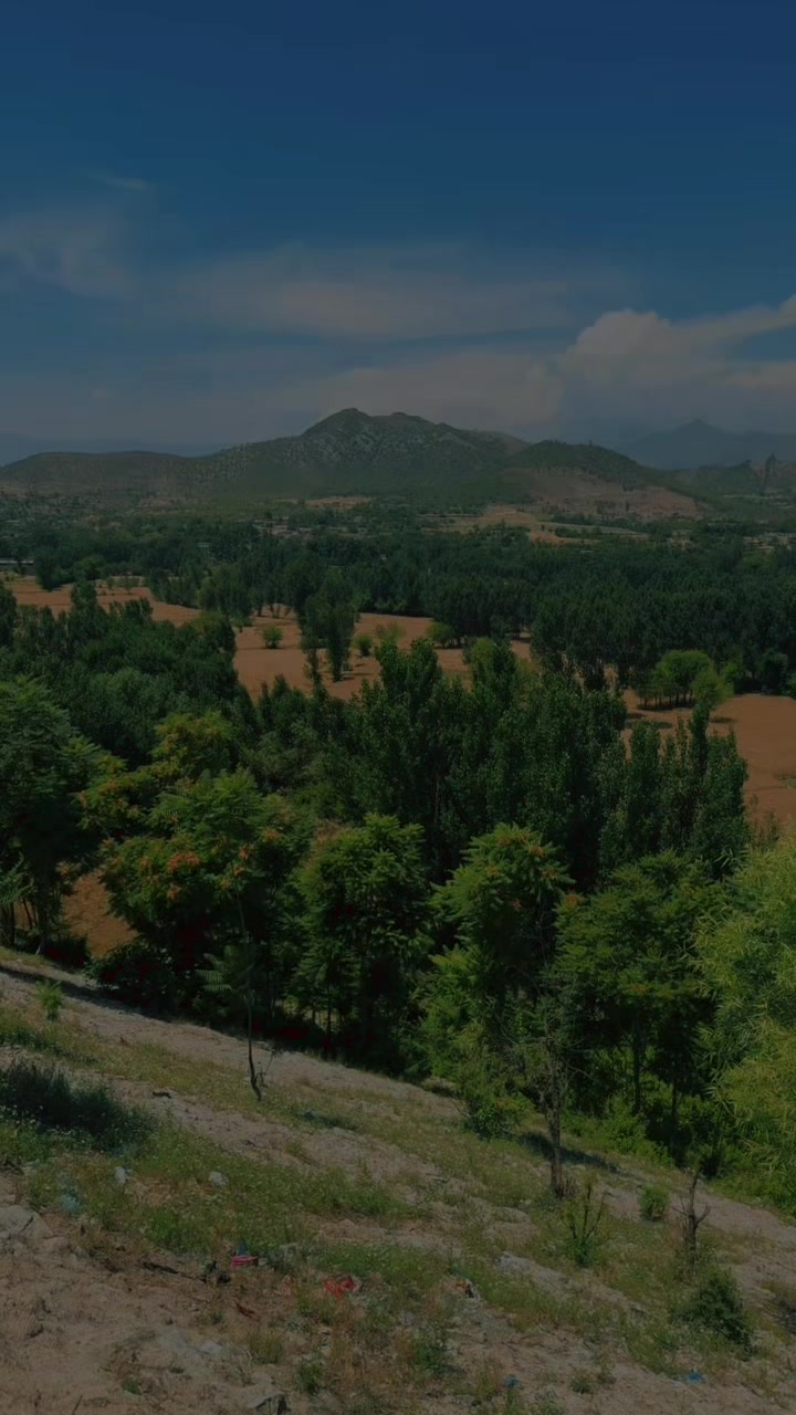 @Hayat Khan