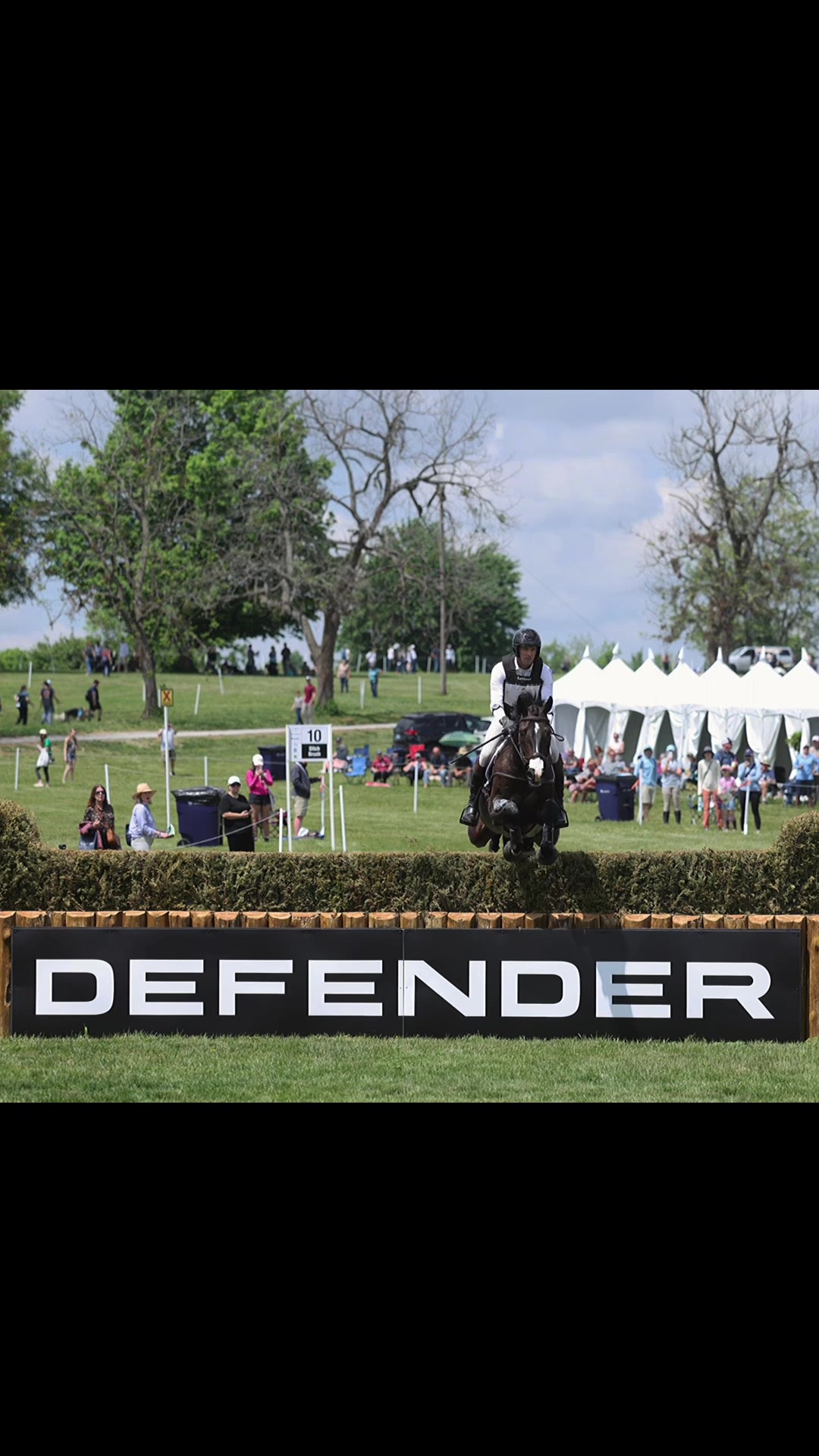 @Stacy | Equine Photography