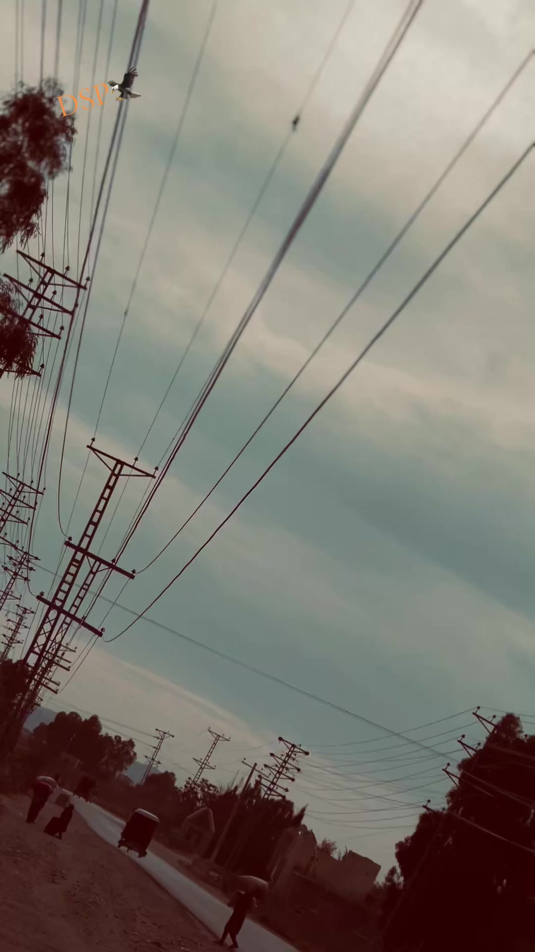 @☠️DSP☠️