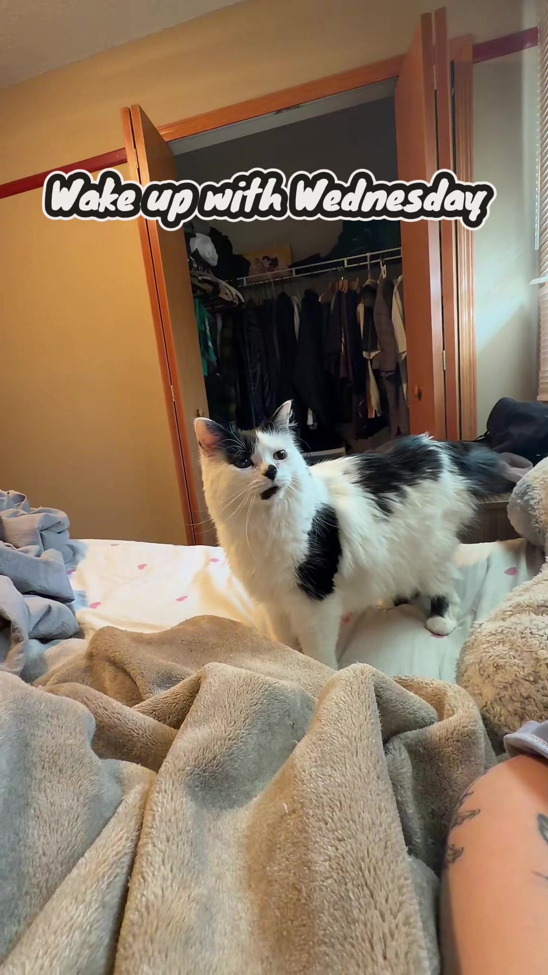 @maowmaowwwww