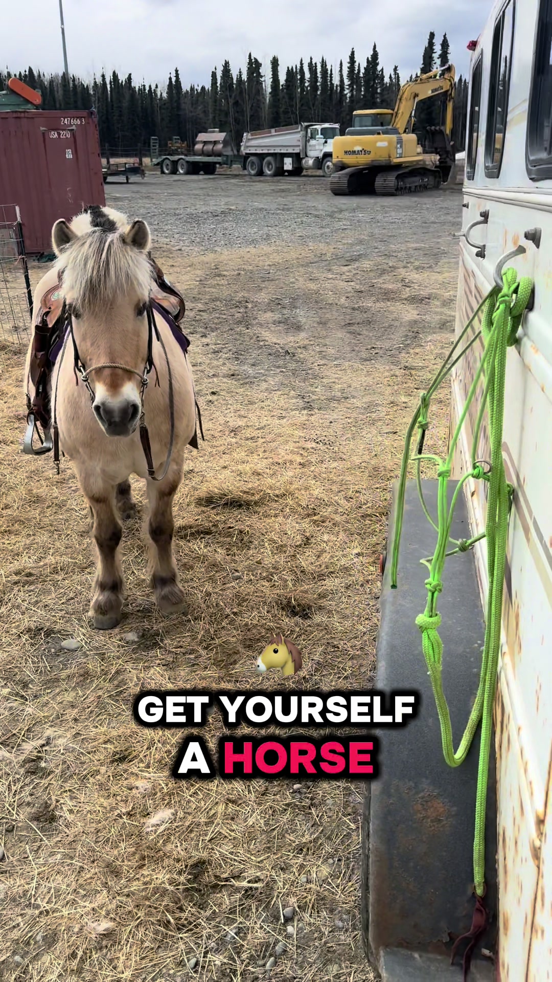 @Homebound Farm & Rescue