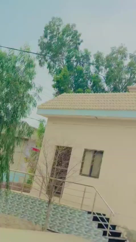 @👑▄︻̷̿┻̿═━ نواب بھٹی═━一👑
