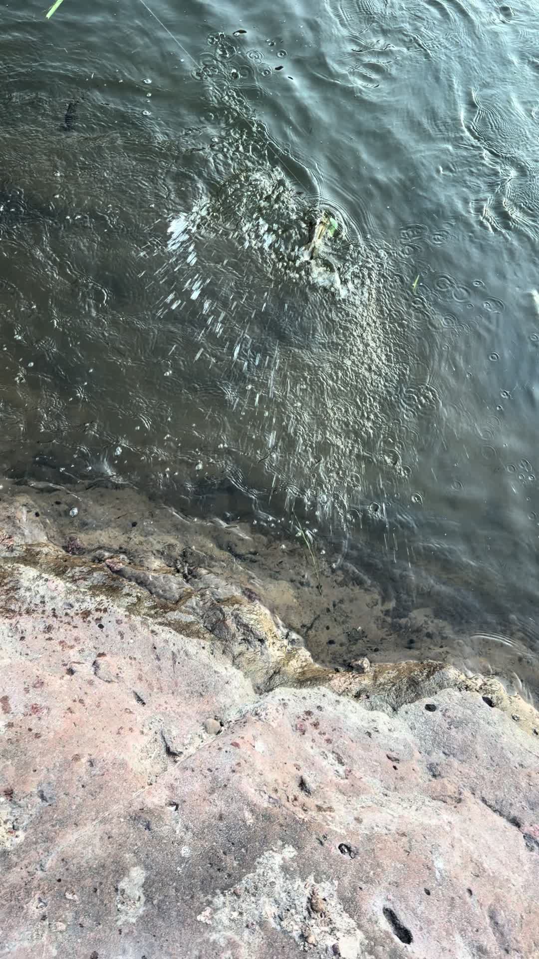 @David explore Arizona 🌲🎣