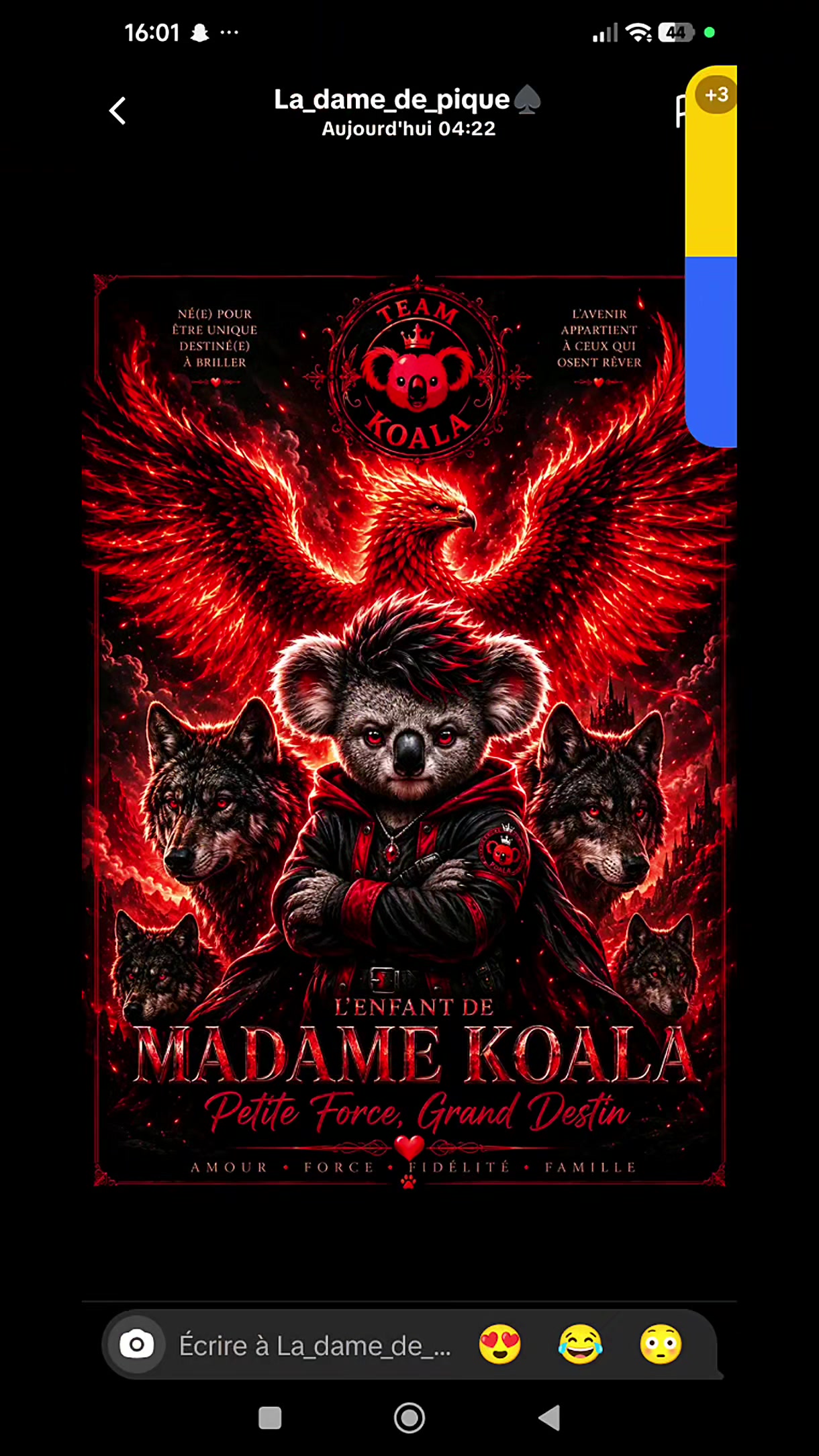 @❤️🐦🔥🐨agent Mr koala🐨🐦🔥
