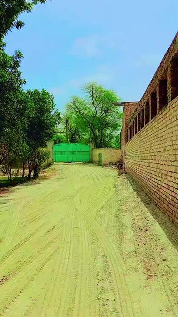 @Muhammad Akhter