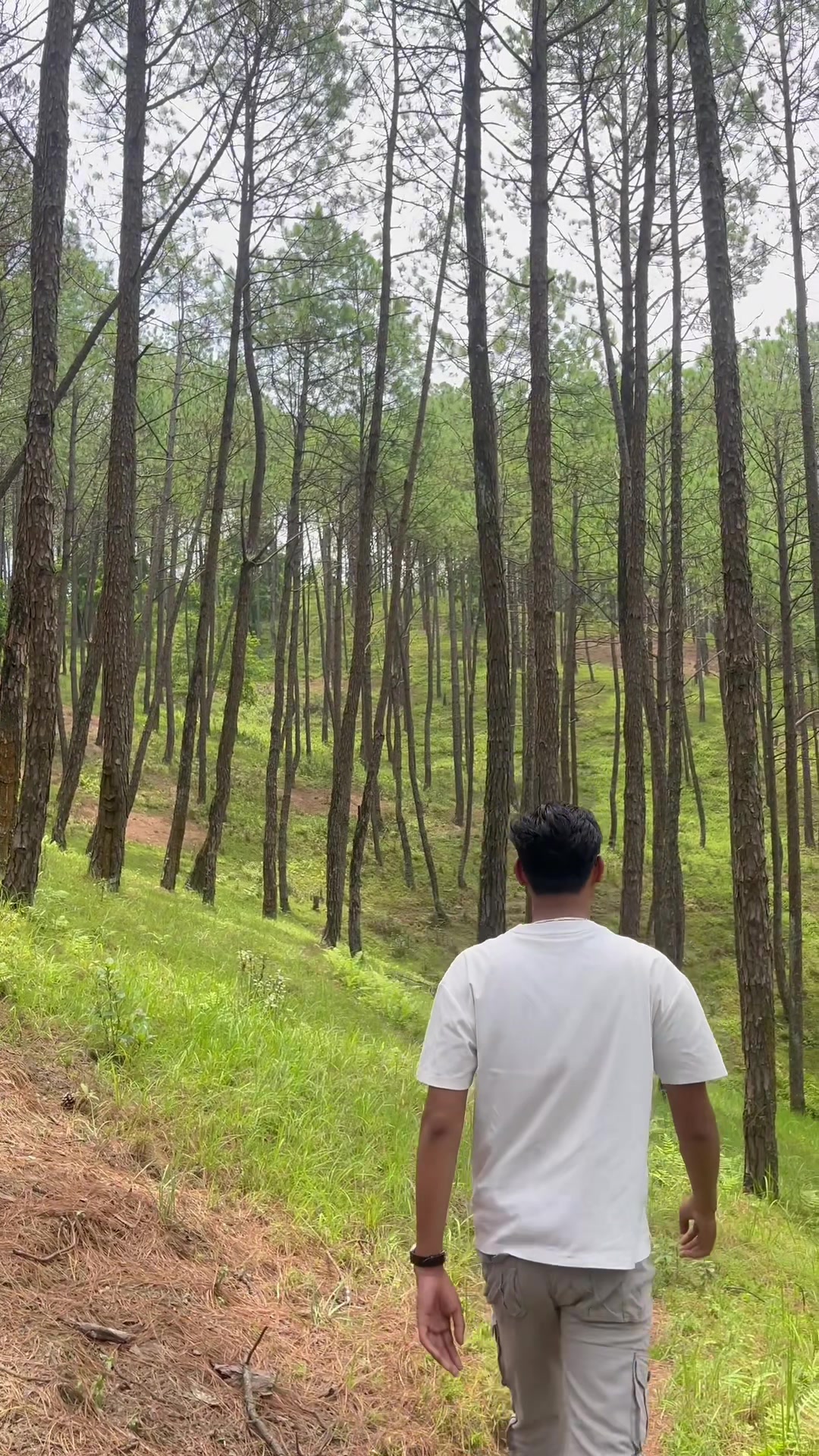 @राना- सेन@Thing