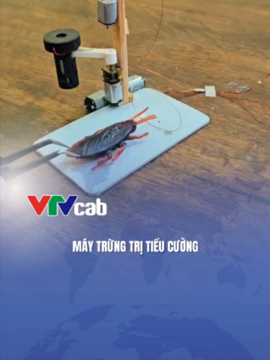 @VTVcab Trending - Giải trí