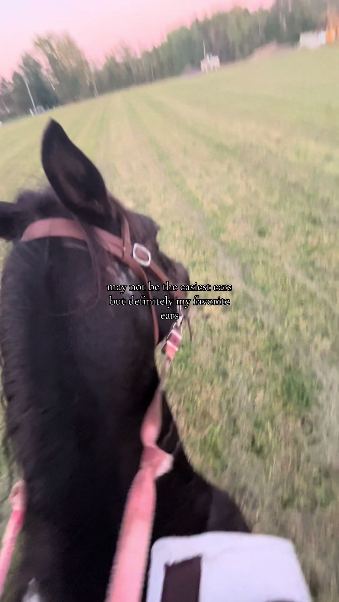 @Rikki🐎🐀