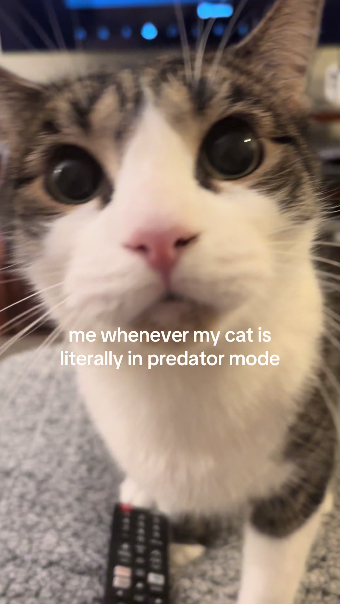 @laura :)