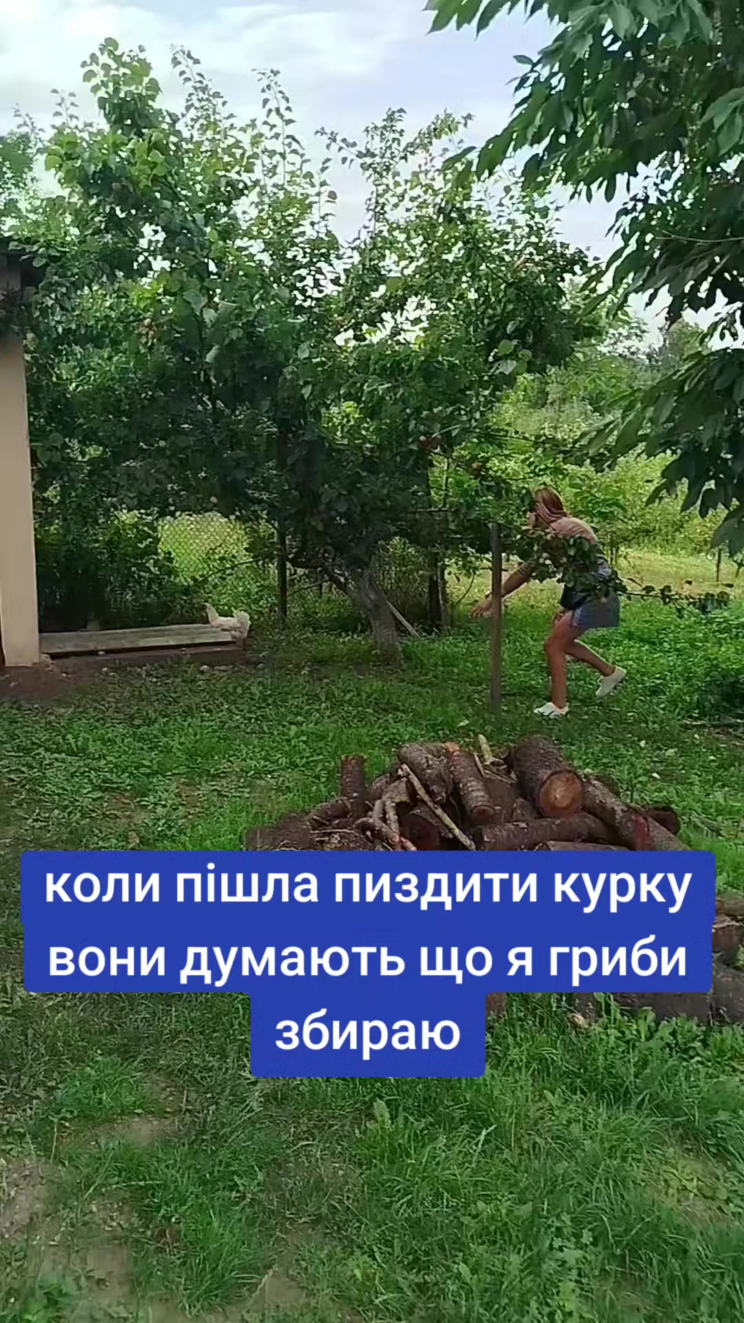 @perepelytsya