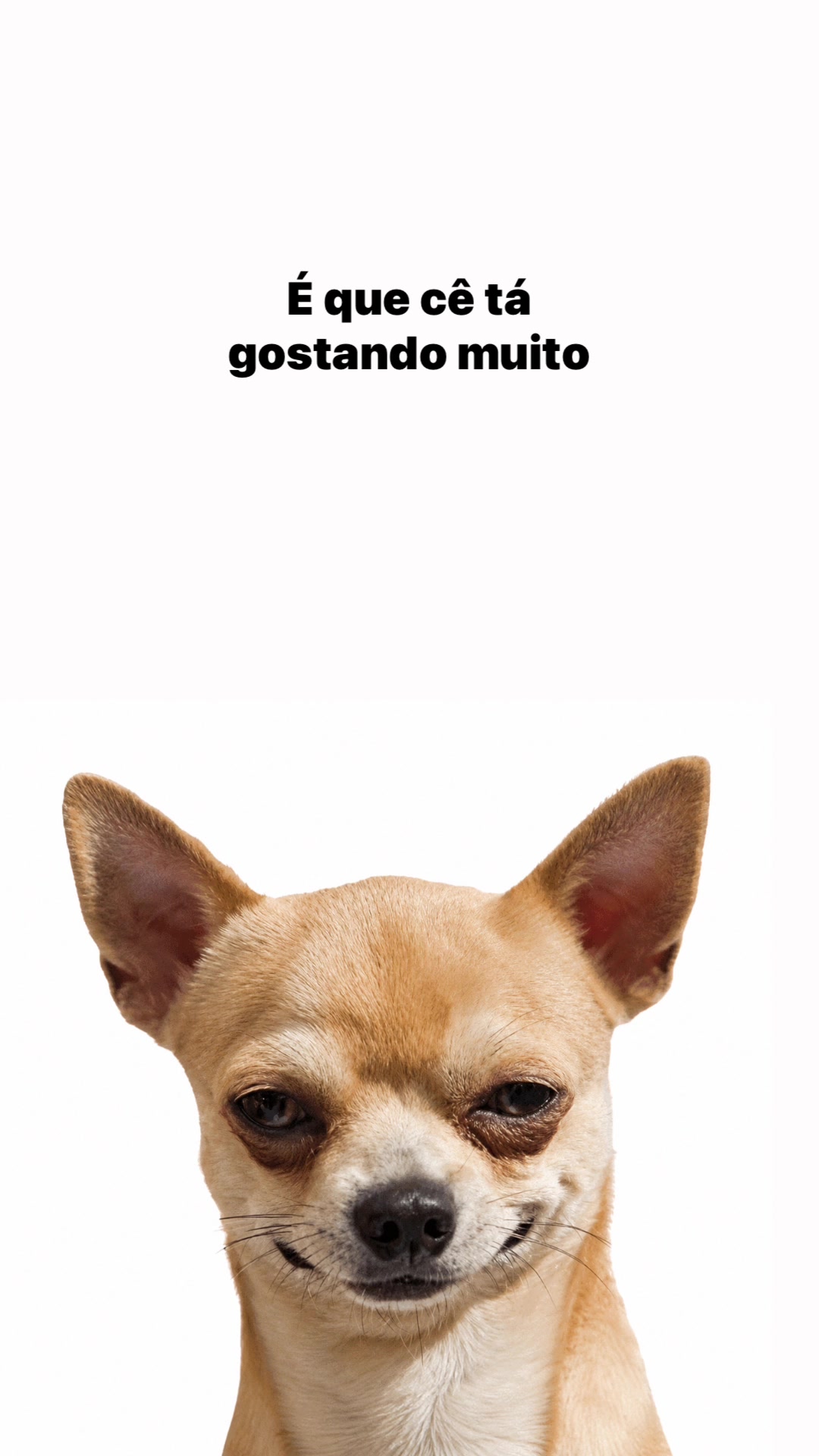@user1606