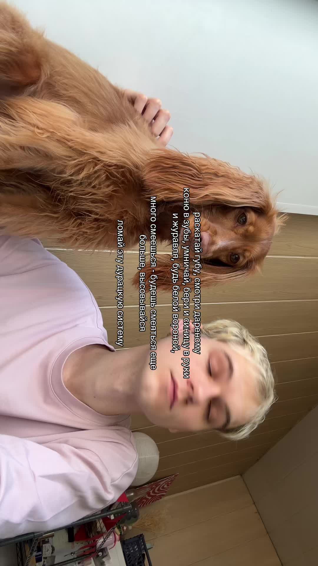 @yallasss3