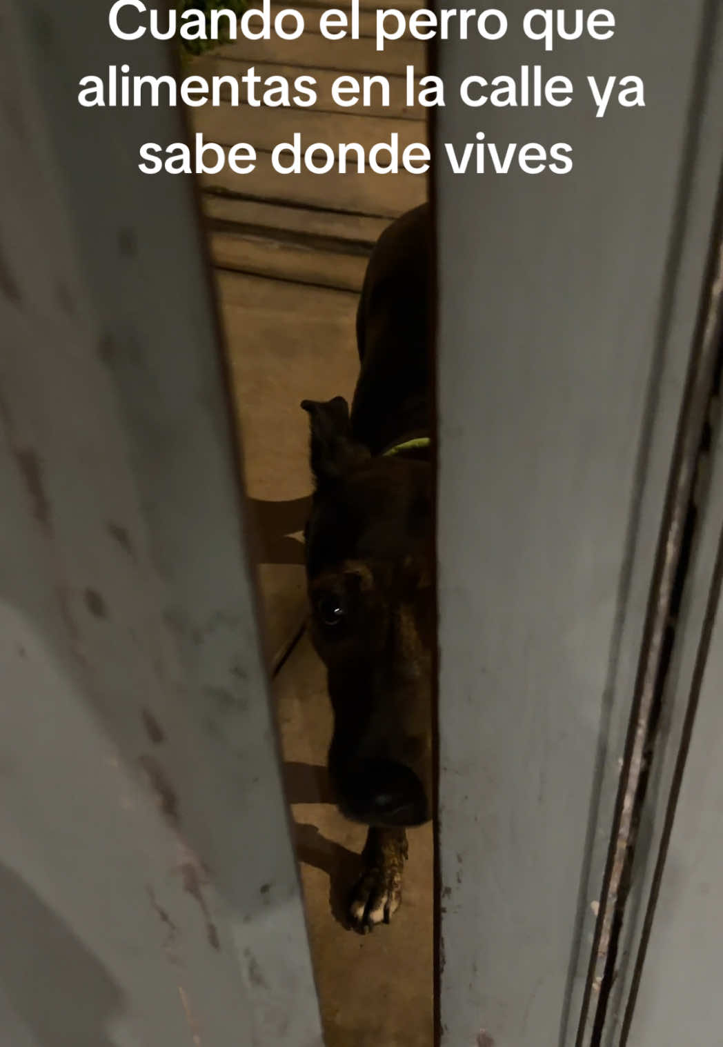 @sb