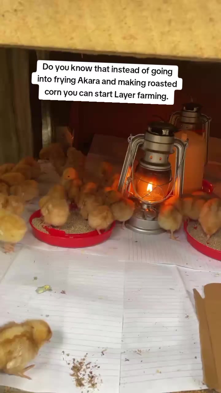 @AgroFount