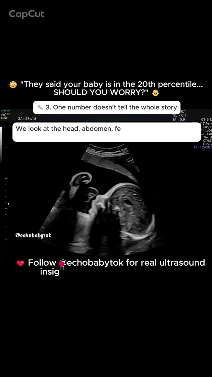 @Echobaby
