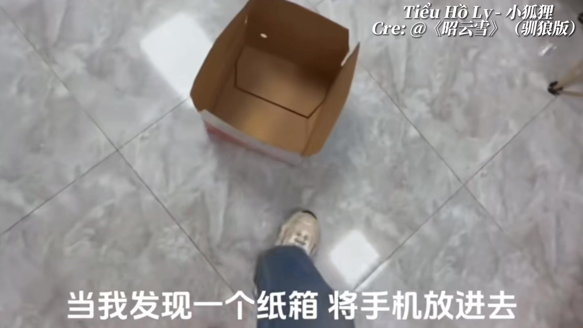 @Tiểu Hồ Ly - 小狐狸