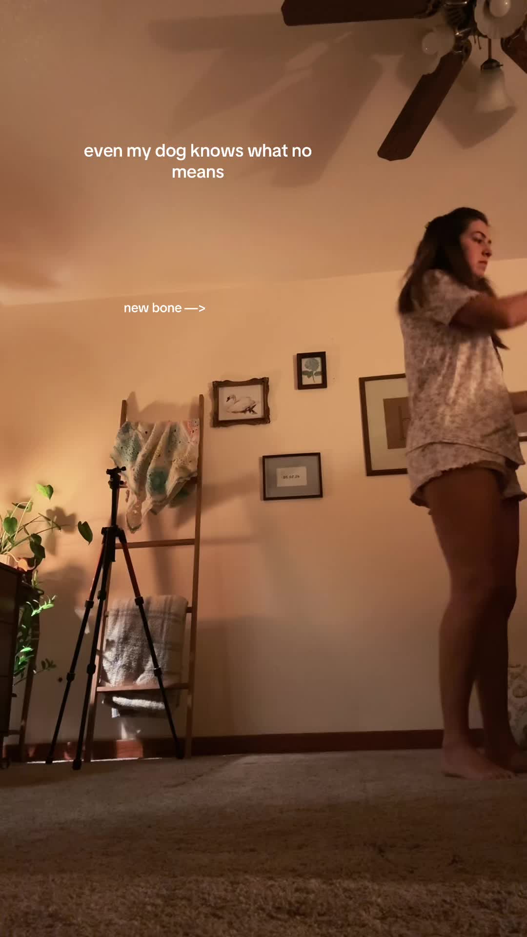 @ellabraungardt