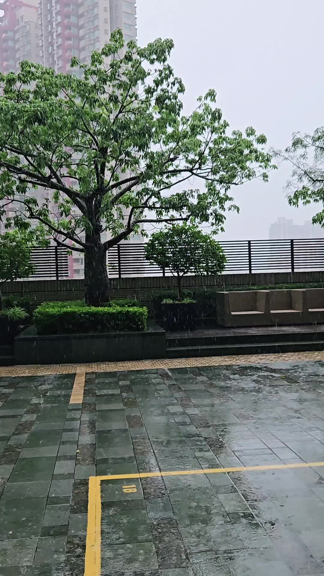 @janoko mgah mejo