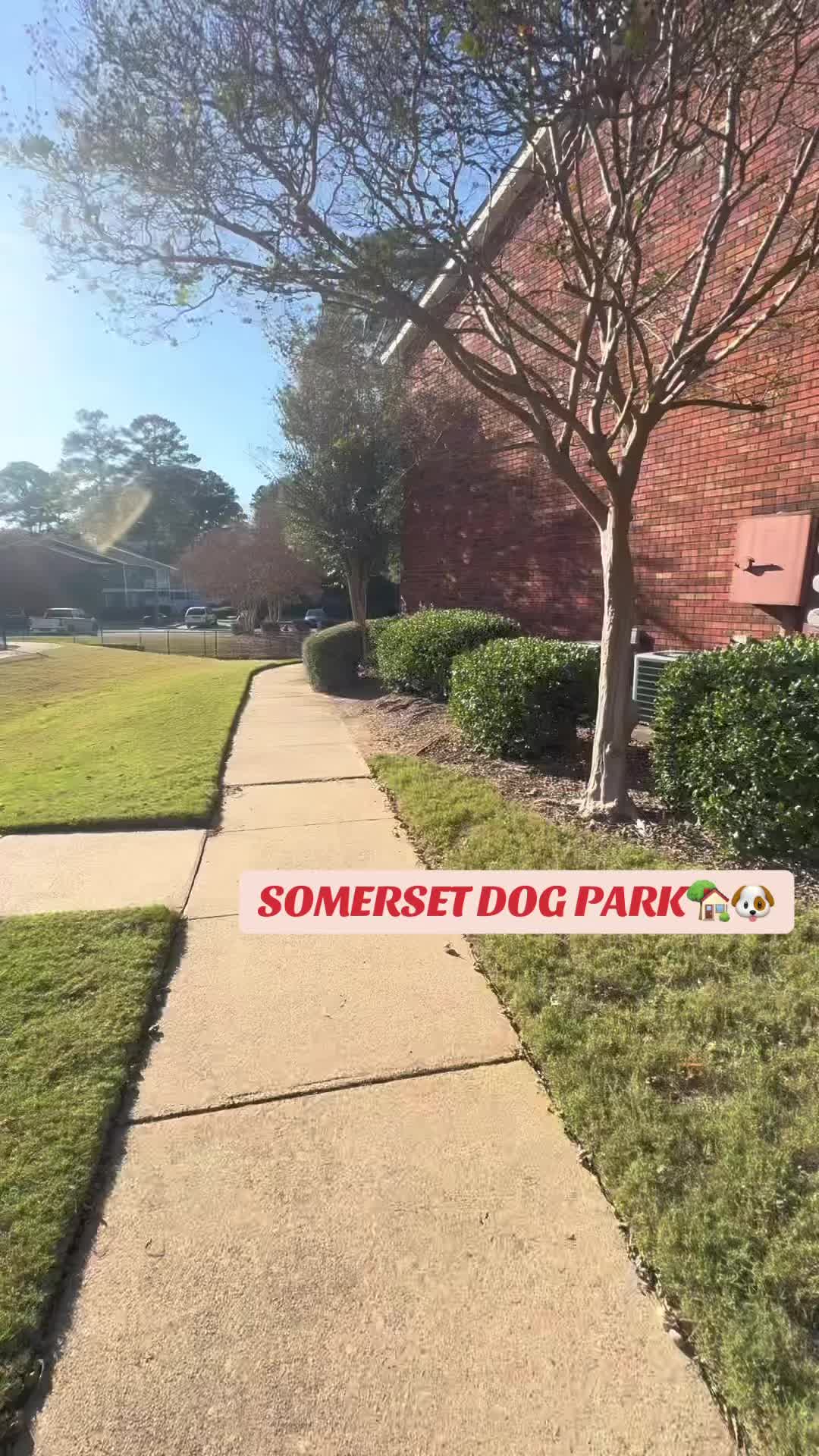 @Somerset Place Apts