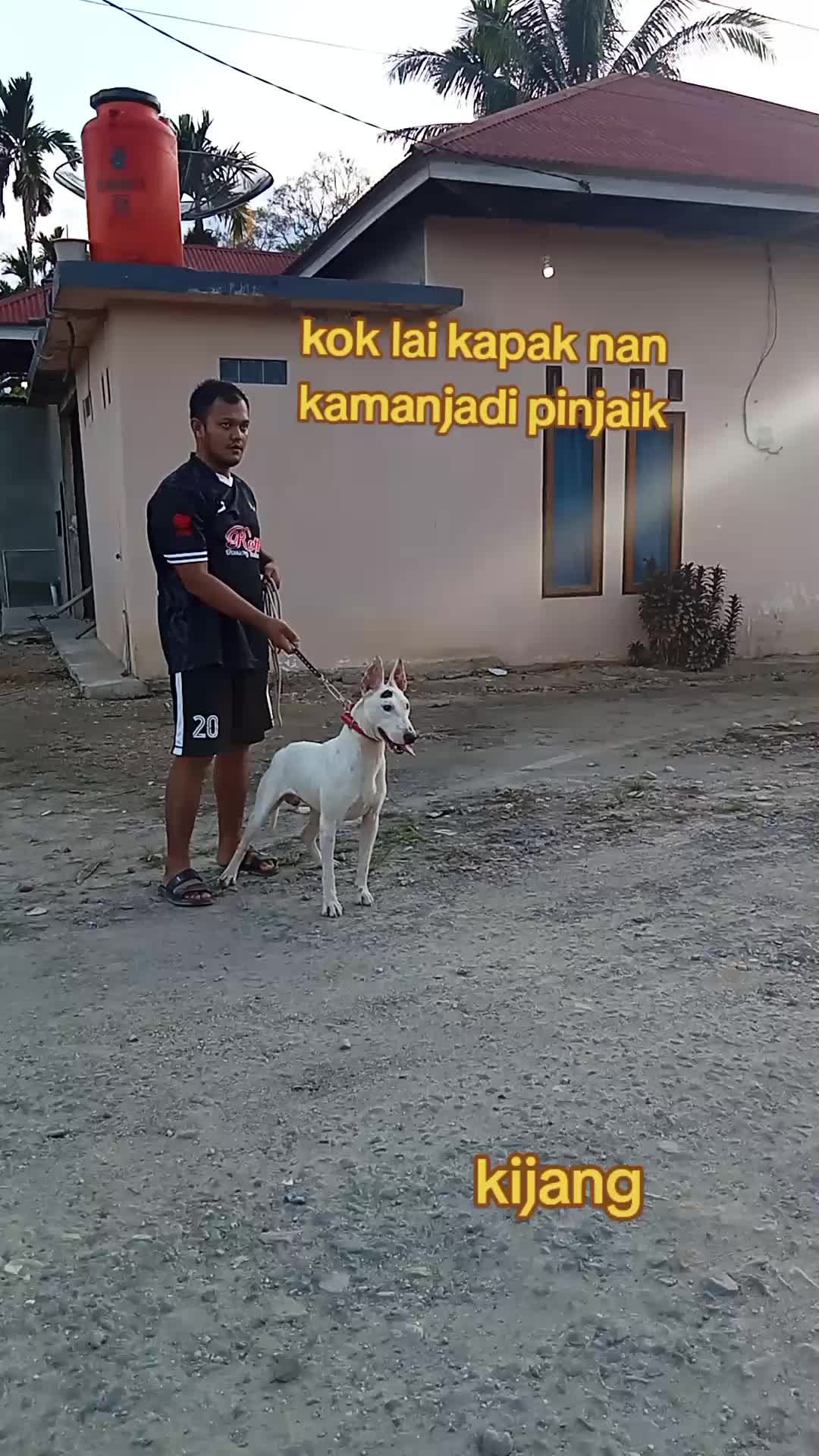 @Aldi nur