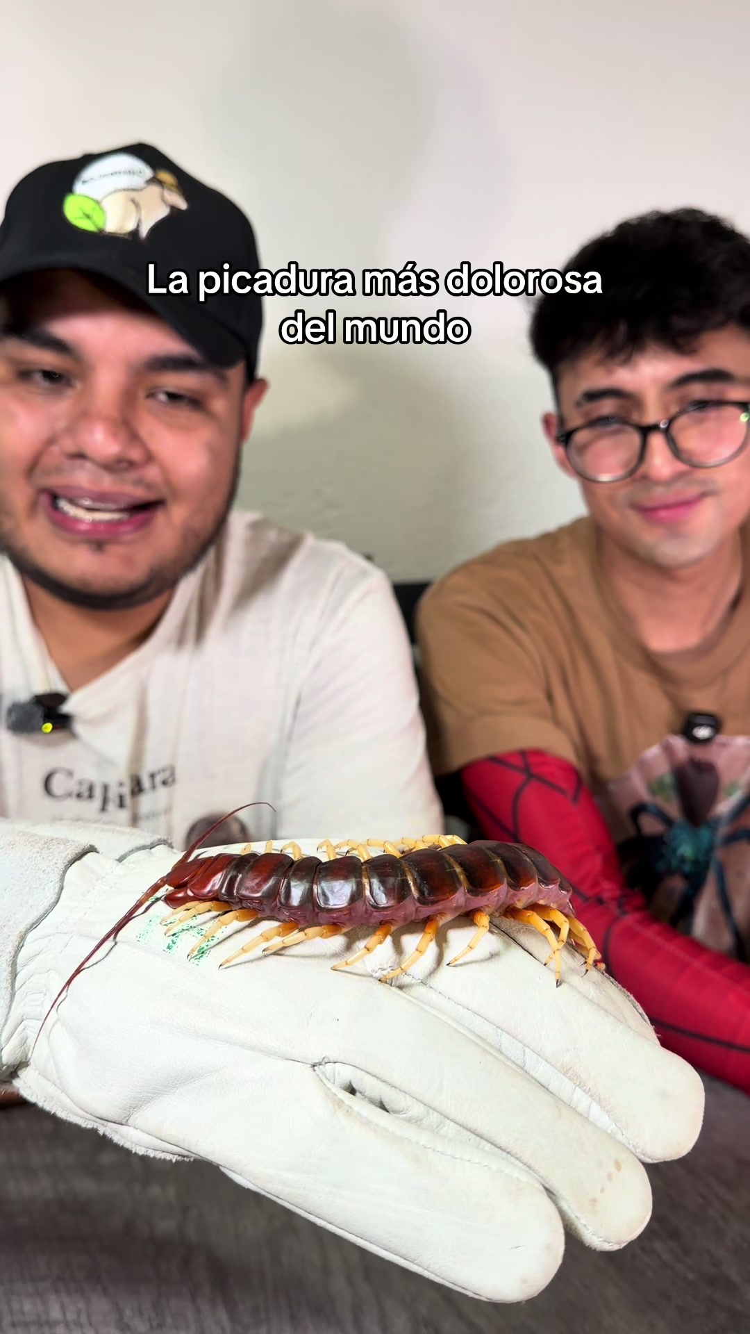 @Jair Herrera 🐆
