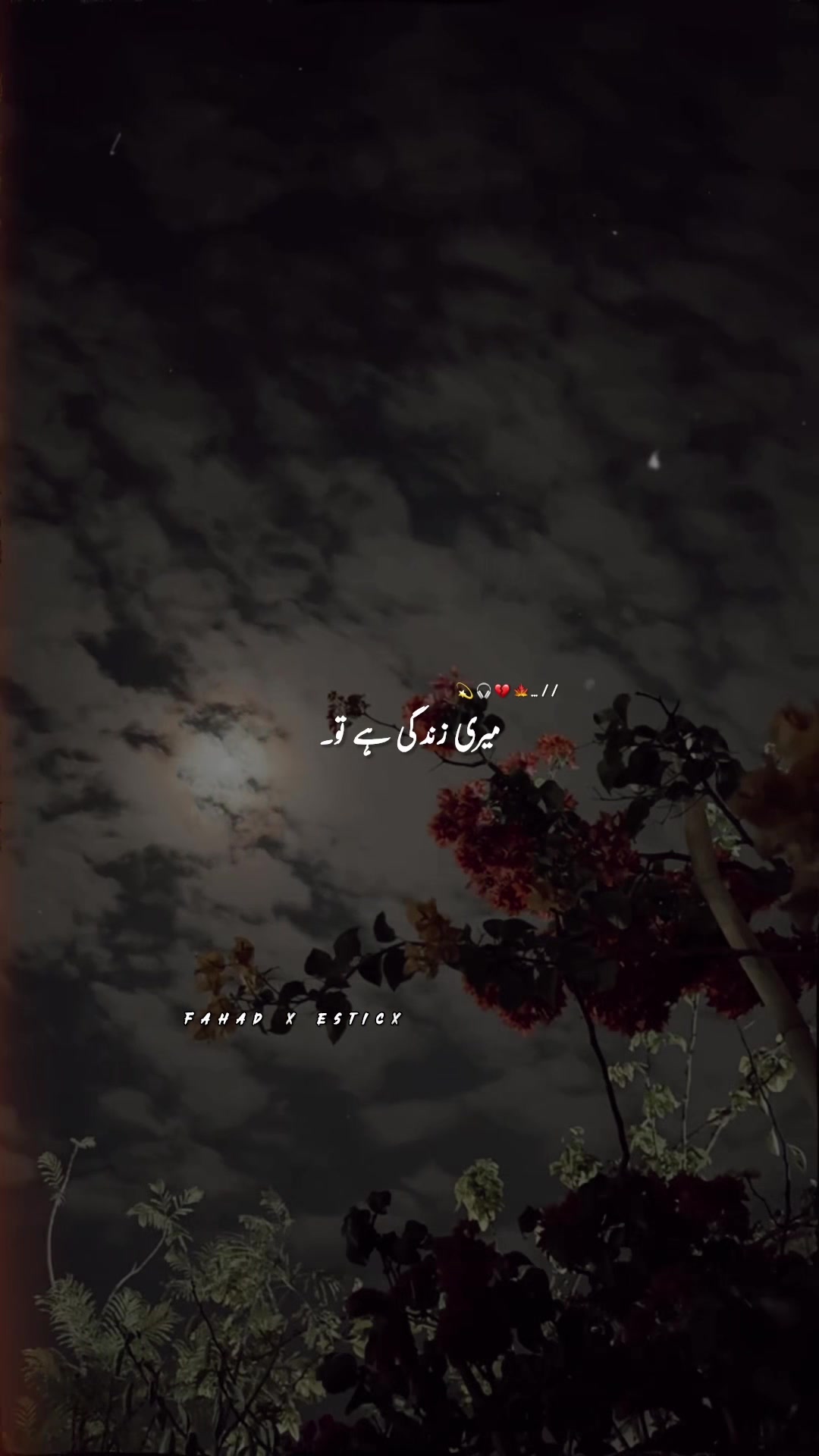 @F&Lambda;H&Lambda;D🚩