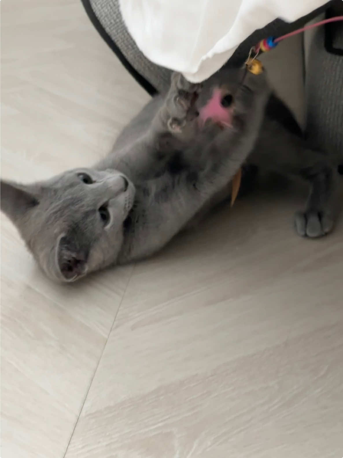 @qwertyk210