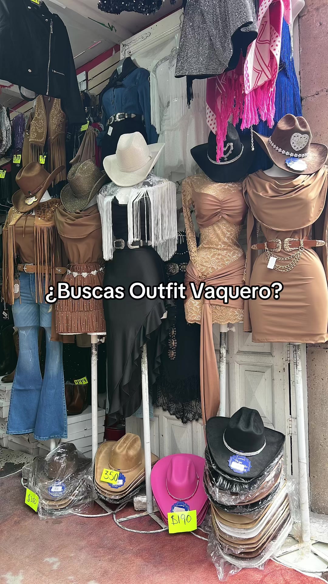 @lavaqueritademoreliana1