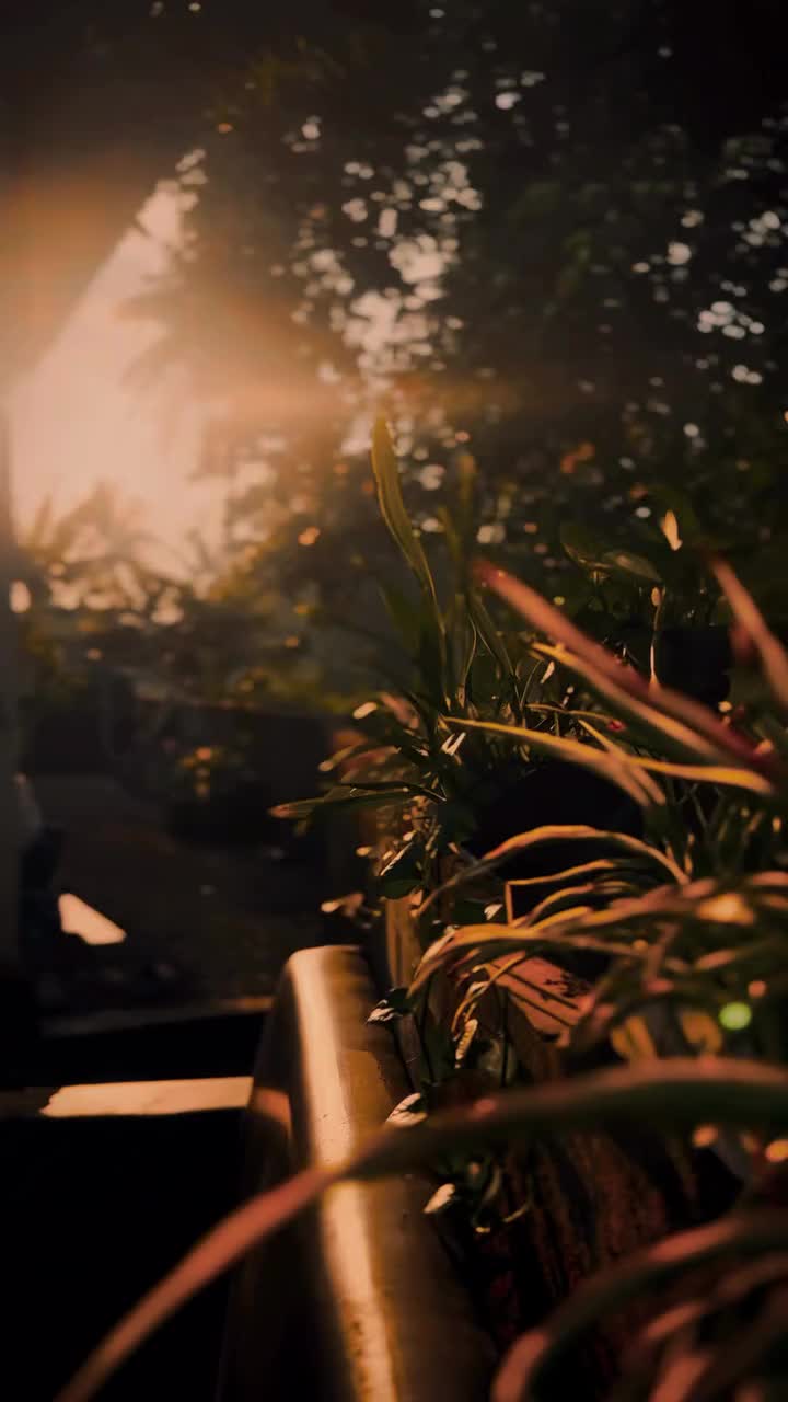 @💫S@R&AElig;H💫