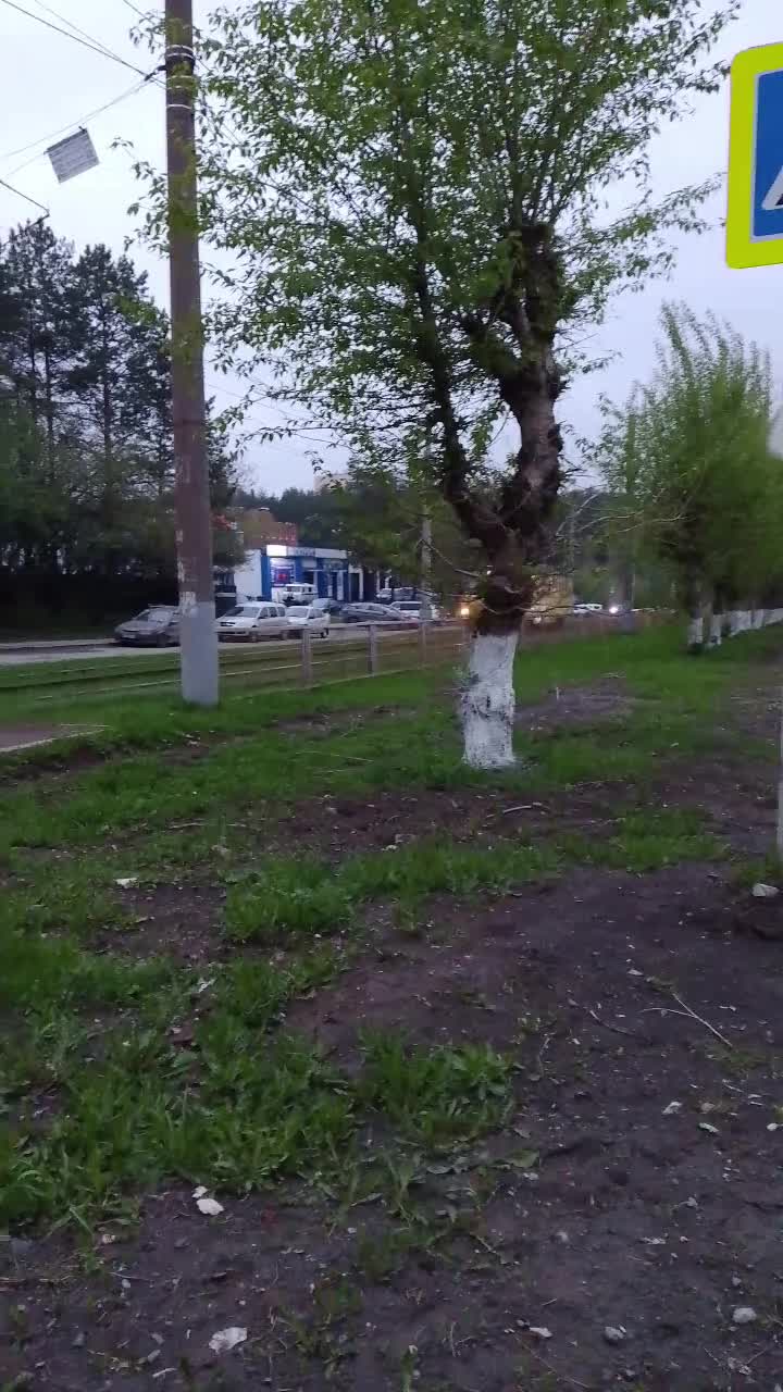 @Жувачка_MDZ🗣️