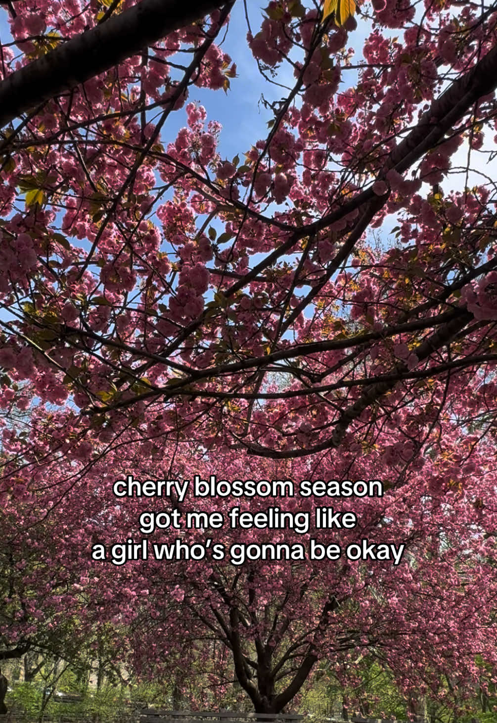 @Ryan 🤍