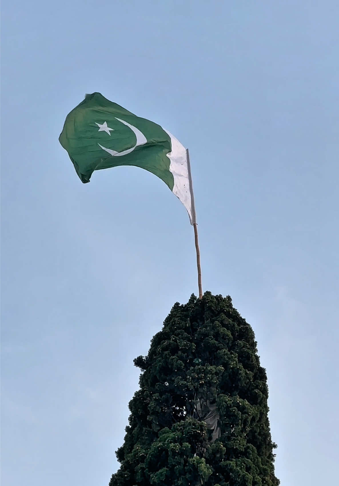 @Mahaz Taqi
