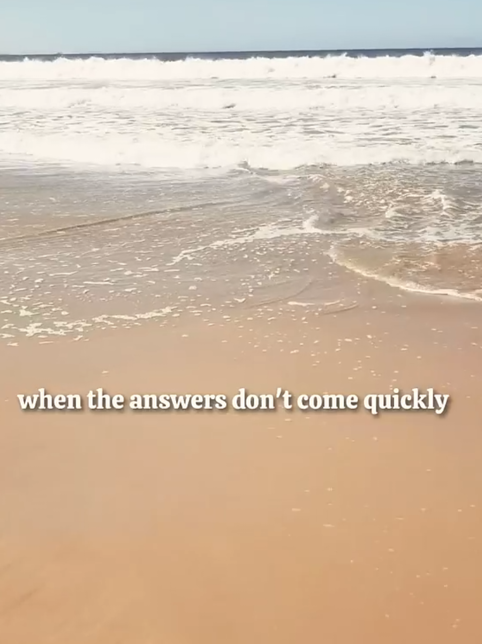 @Sandra B Lusati