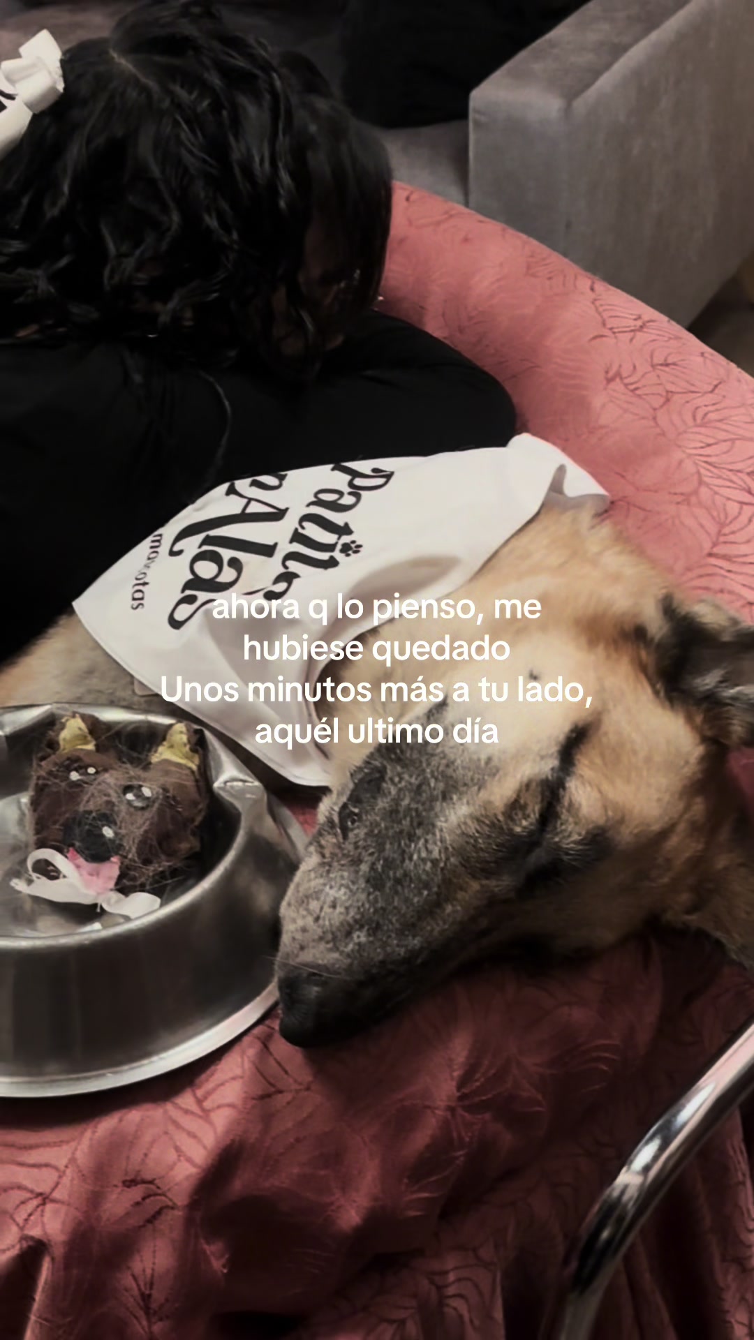 @Swagnady