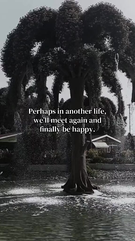 @DS Quotes🫀
