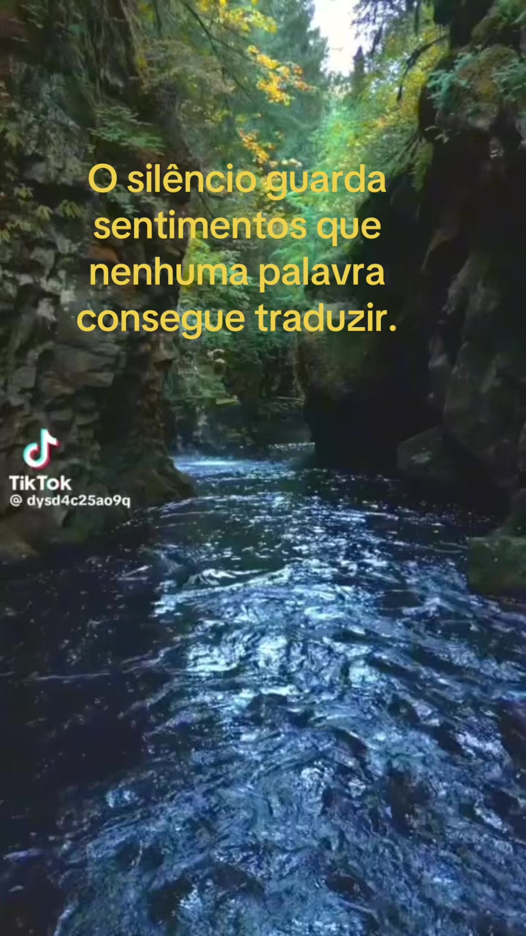 @auras_poems
