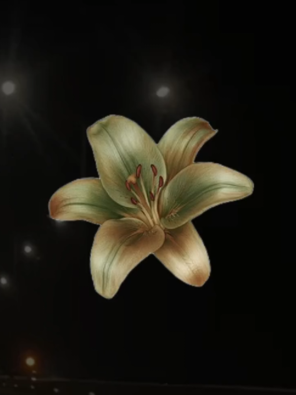 @𝐗𝐕𝐈 𝐀.𝐂