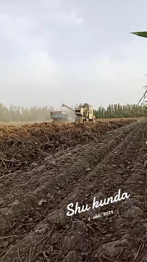 @Sherzodjon1995