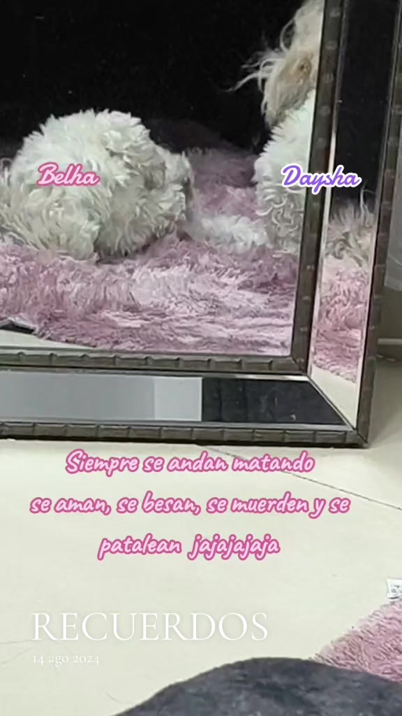 @🎀GαႦιɾυ🎀