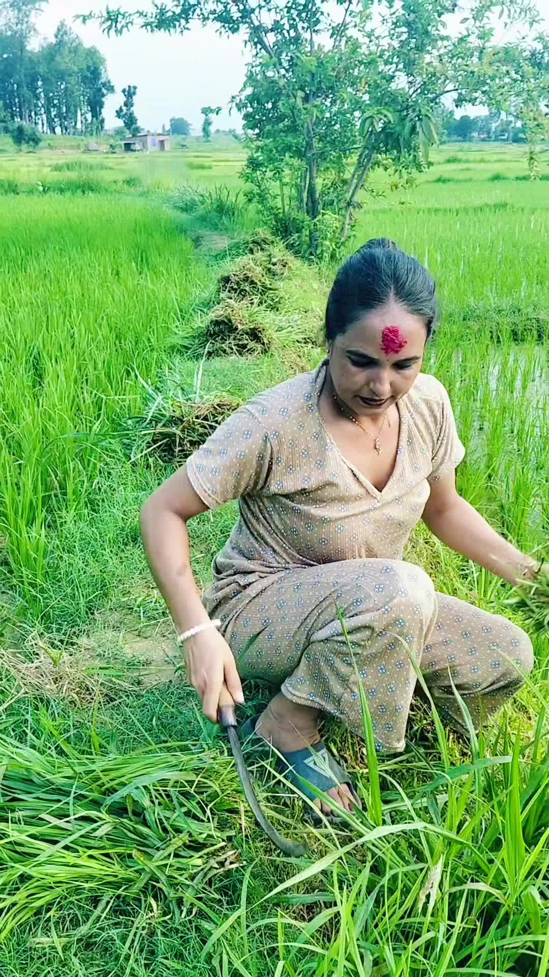 @Sirjana Aryal❣️🇳🇵