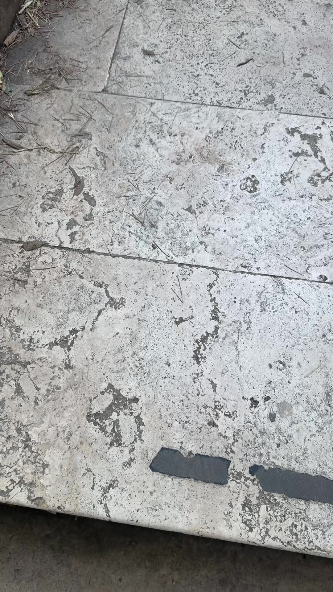 @Evsiz Karınca