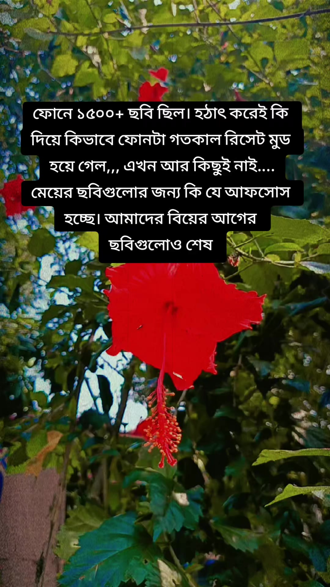 @🇲🇾 রুশদার আম্মু ✈️