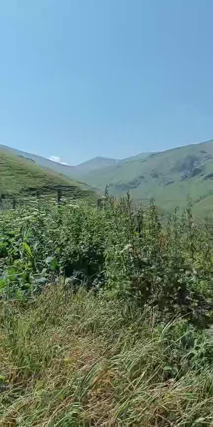 @Nurettin | Hayatın İ&ccedil;inden